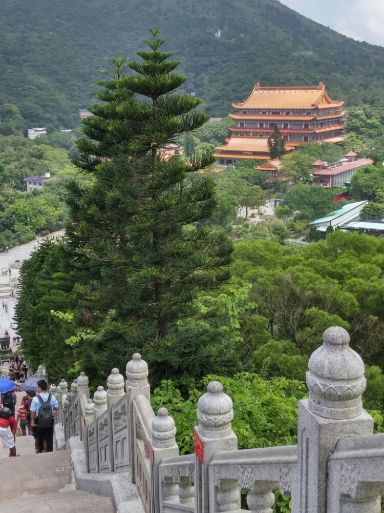 宝莲寺旅游景点攻略图