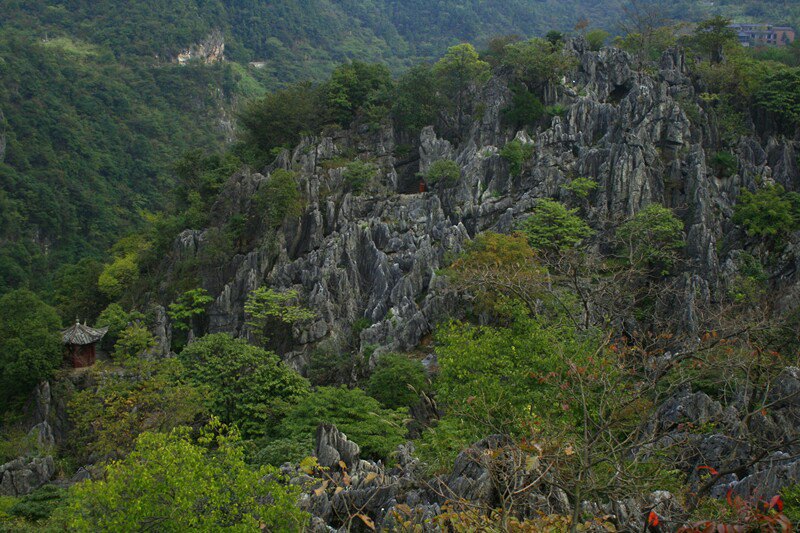 千岛湖石林景区