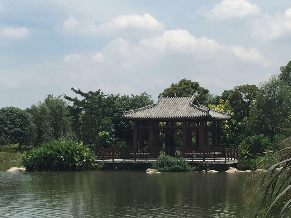 【携程攻略】广州海珠湖公园适合单独旅行旅游吗,海珠湖公园单独旅行