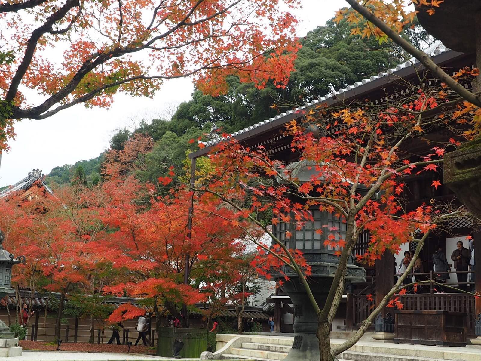 京都永观堂好玩吗,京都永观堂景点怎么样_点评_评价【携程攻略】