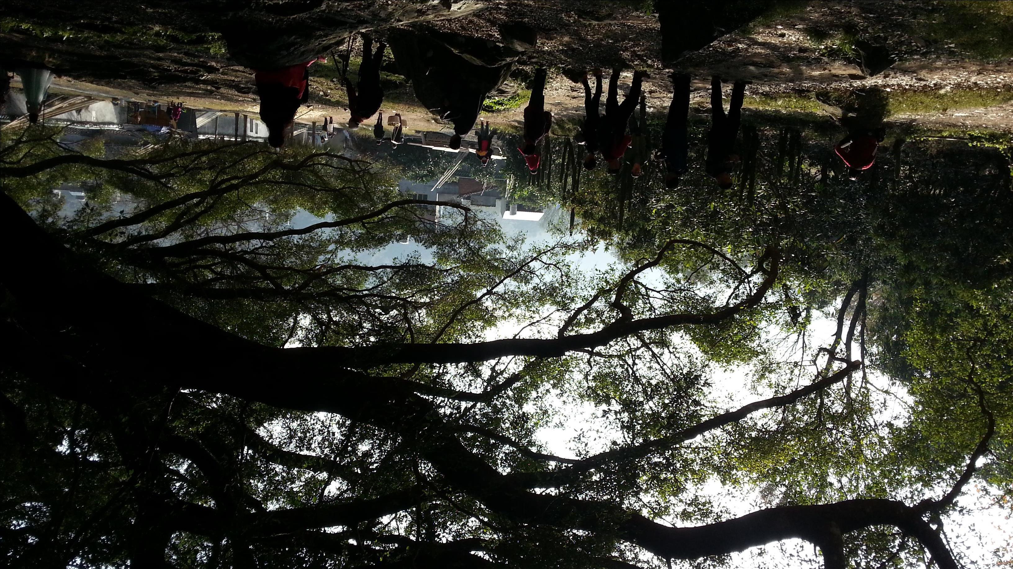 福建霞浦杨家溪风光.