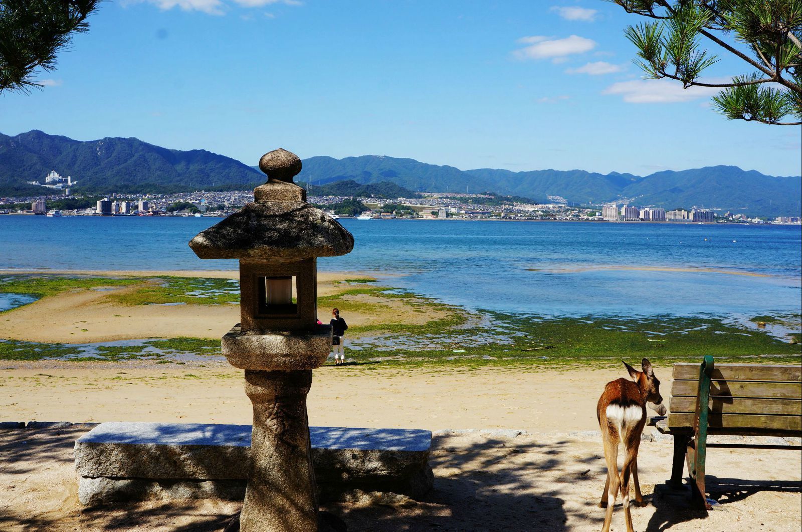 宫岛离广岛市区有段距离,车程要1小时左右,而且还要轮渡过去,约10分钟。从市区出发可以乘广岛电铁宫岛线坐到终点站,单程票260日币,下来后对面就是码头,分别有两家公司运营到宫岛的航线,价格都差不多,成人往返360日币,小孩往返180日币。
今天天空不做美,下了一天的雨,显得码头也格外冷清,本来还想到了宫岛去山顶玩的,也只好取消。
在日本的名胜古迹中,日本的三景一定要去看下,宫岛、仙台的宫岛松岛、宫津的天桥立。 这次来到三景之一的宫岛,心情很激动哈。。。已经在船上了。。。