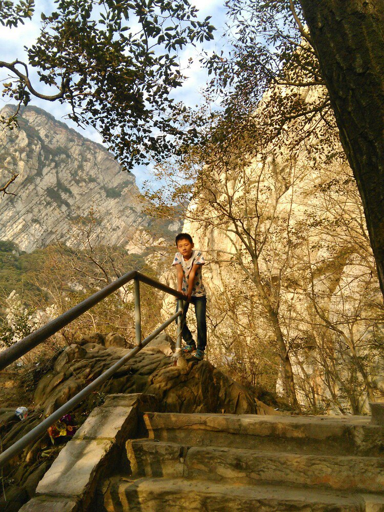 三皇寨旅游景点攻梦幻攻略诛仙手游挂机略图图片