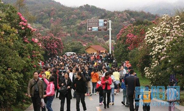 百里略图风景区旅游景点攻杜鹃游戏攻略宅怨图片