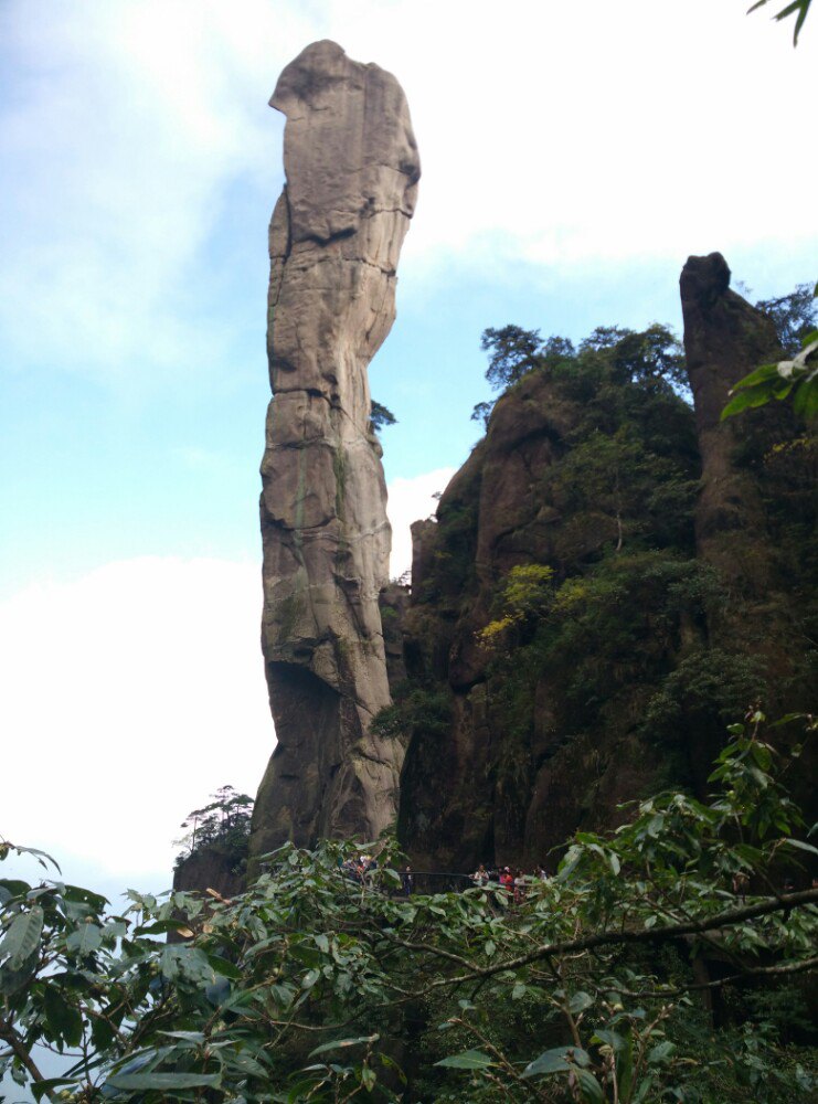 巨蟒出山