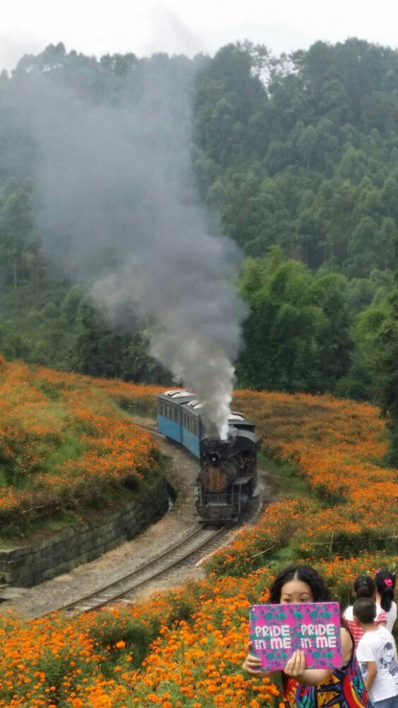 【携程攻略】犍为嘉阳小火车景点,工业革命的活化石