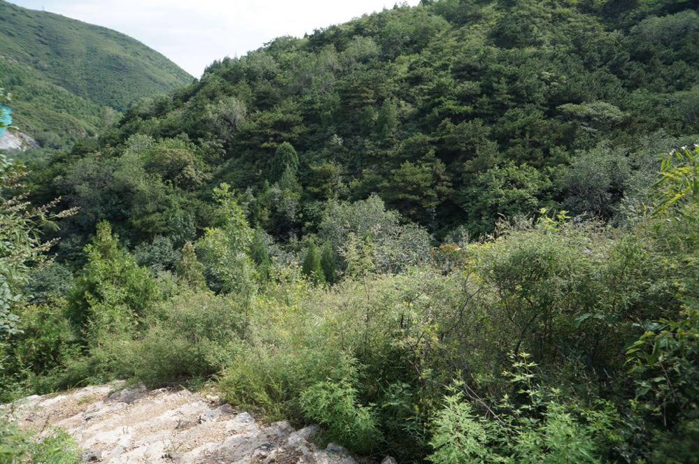 顶十二涧览天地无边