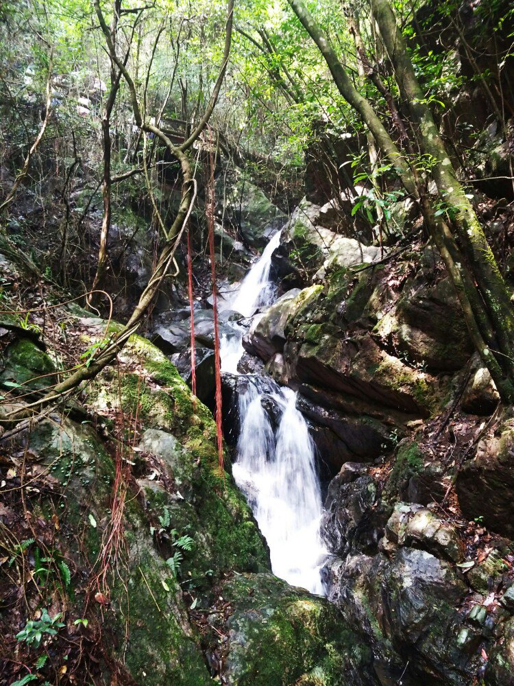 千岛湖森林氧吧旅游景点攻略图