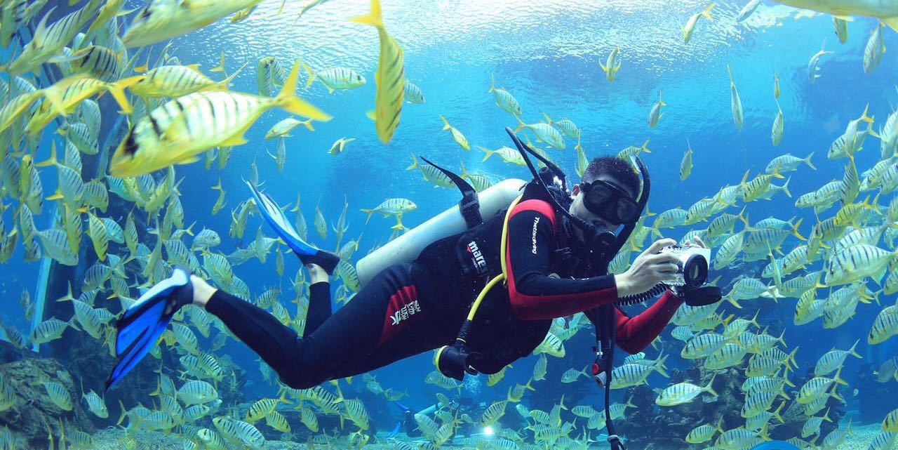 三亚湾潜水和蜈洲岛潜水哪个好?