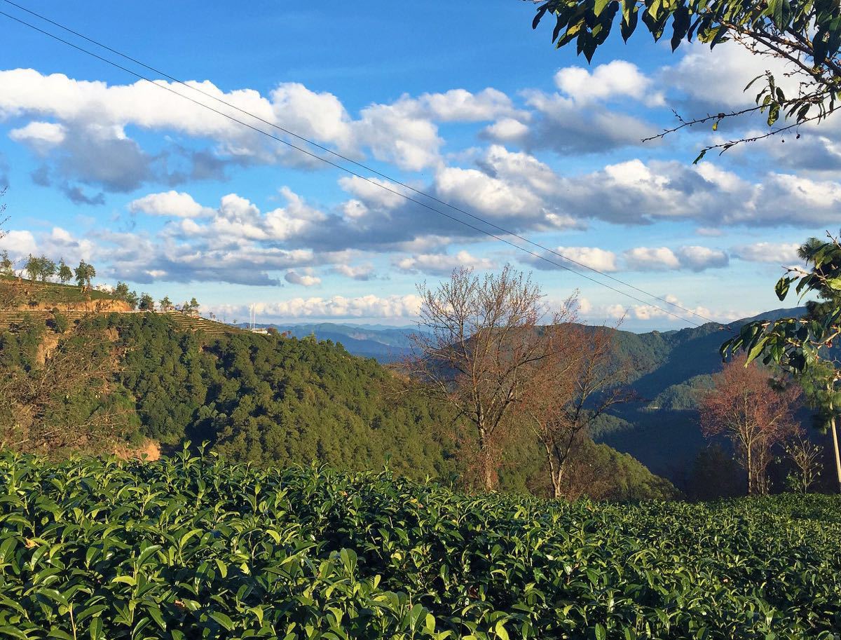 无量山樱花谷旅游景点攻略图