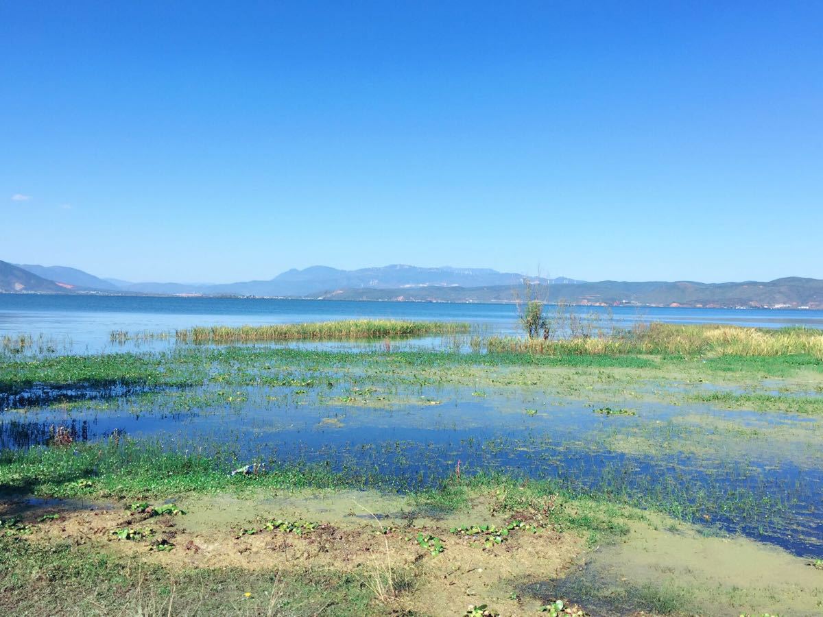 海舌生态公园