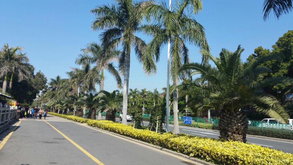 环岛路
