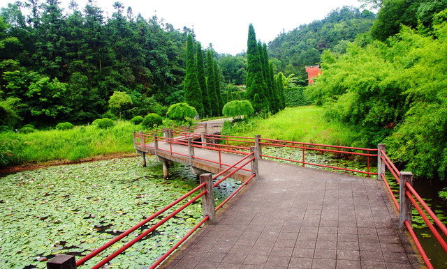 烂柯山