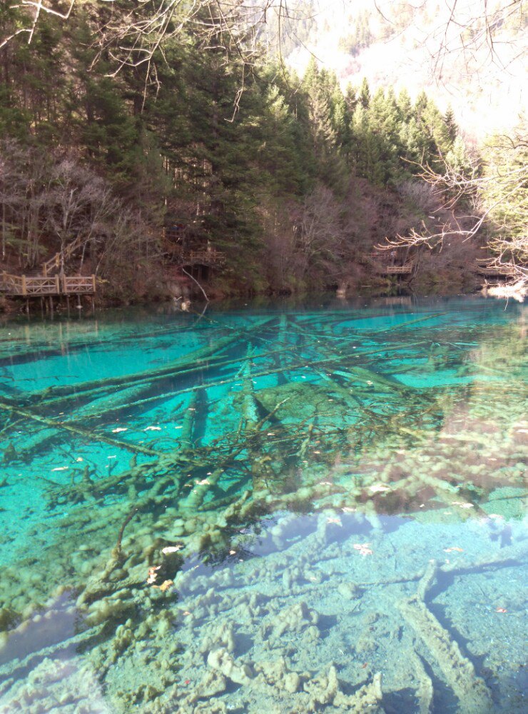 诺日朗群海