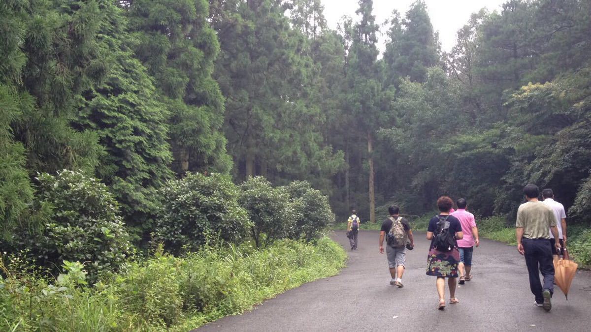 玉皇山景区旅游景点攻略图