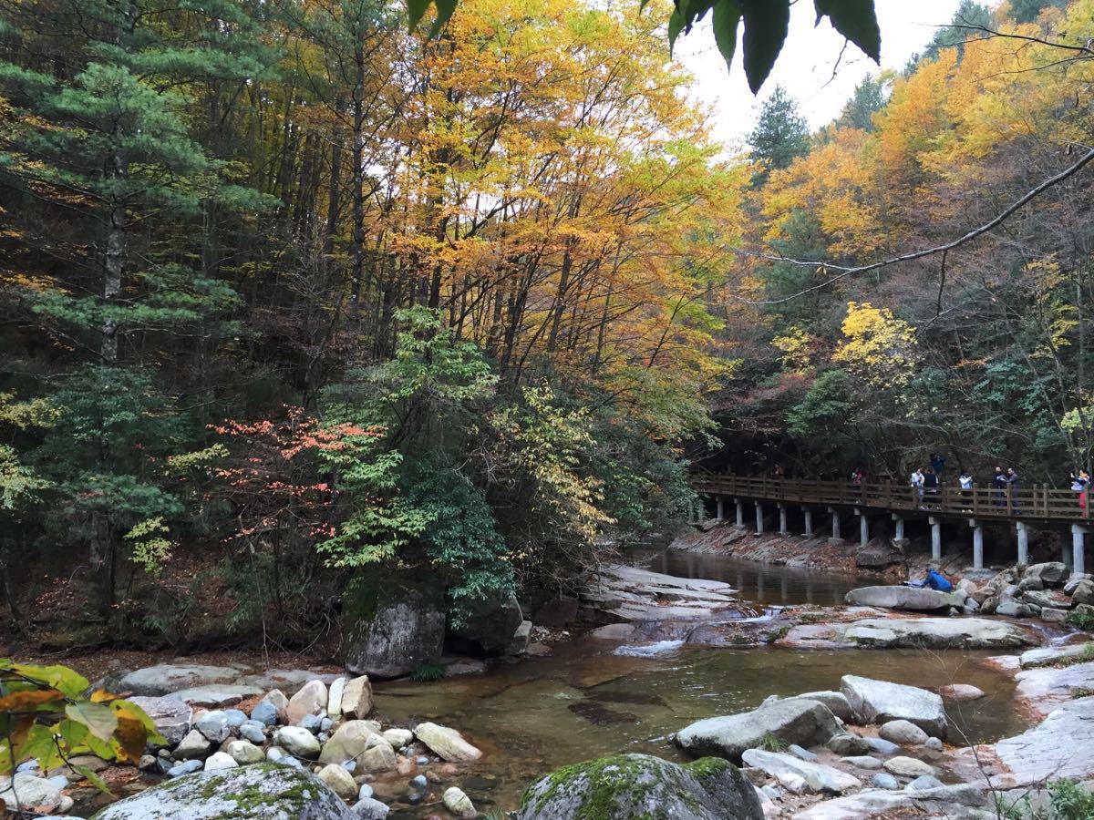 光雾山旅游景点攻略图