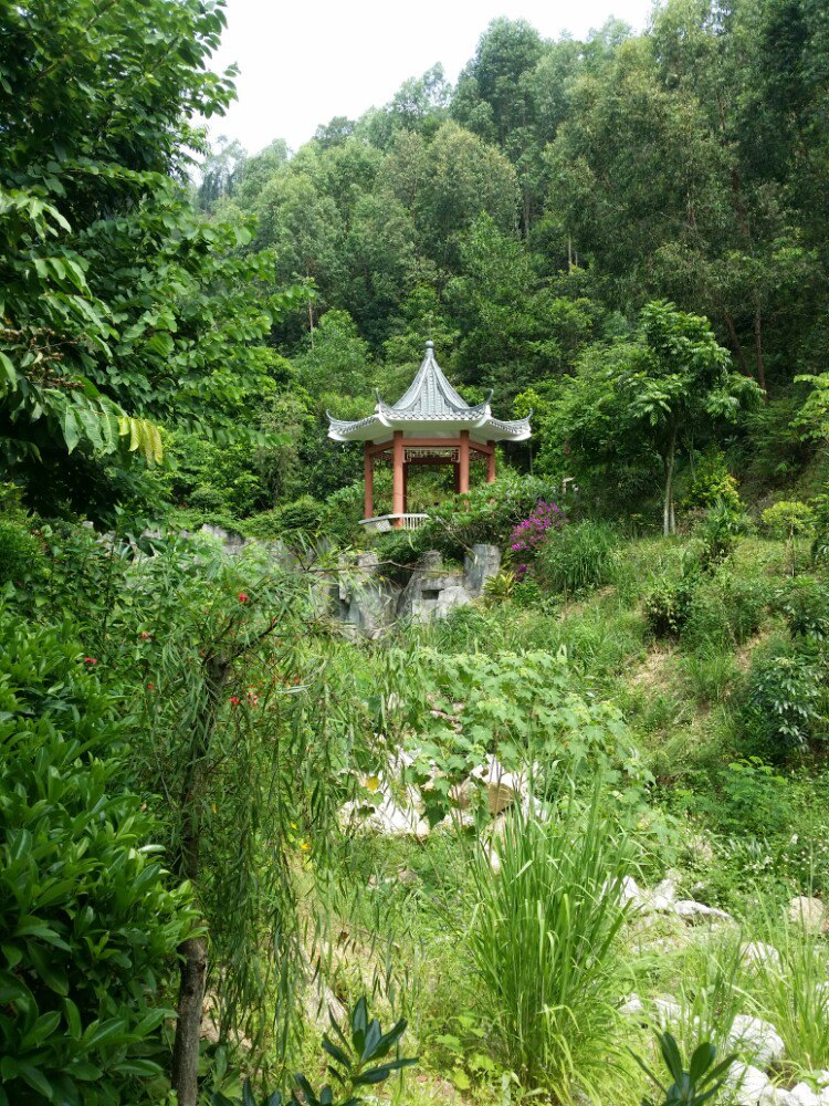 塘朗山郊野公园