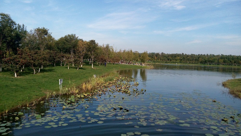 武清南湖绿博园旅游景点攻略图
