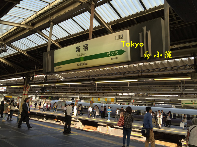 小田急原路返回到新宿站换乘jr山手线,准备去台场