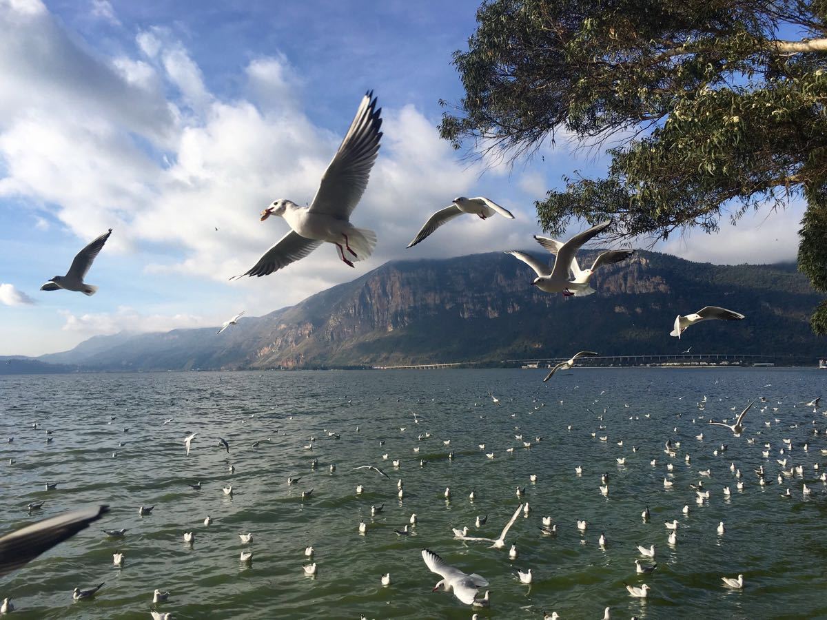 2019滇池_旅游攻略_门票_地址_游记点评,昆明旅游景点