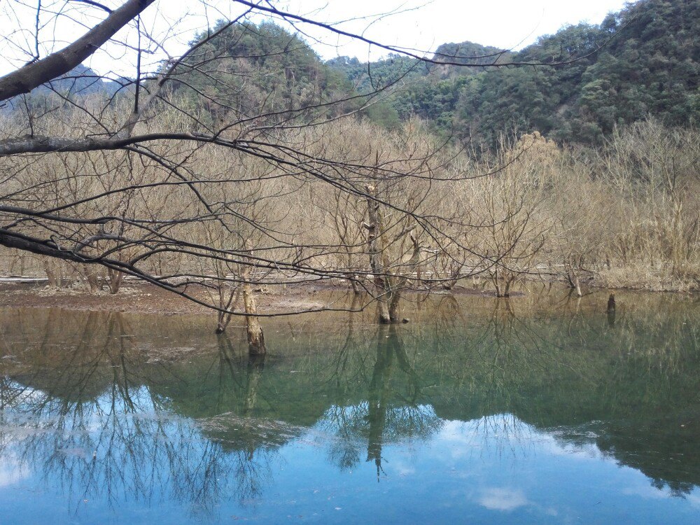 【携程攻略】浙江绍兴诸暨五泄风景区好玩吗,浙江五泄