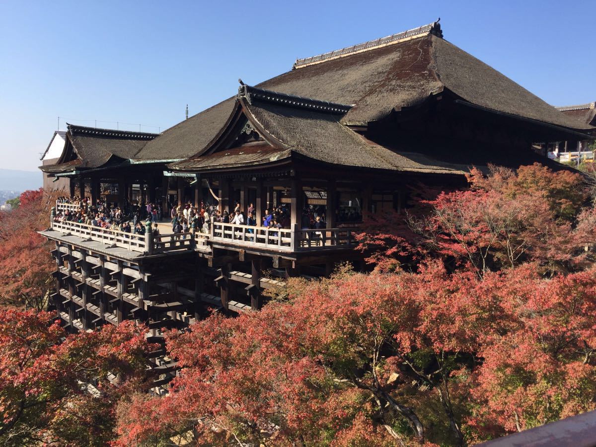 2019清水寺_旅游攻略_门票_地址_游记点评,京都旅游景点推荐 去哪儿