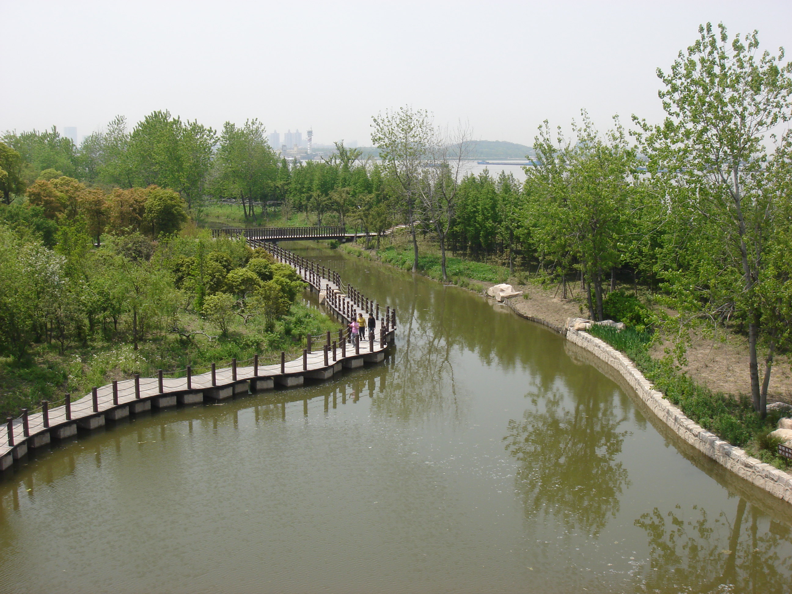 上海滨江森林公园现在有钓鱼吗?收费多少?有