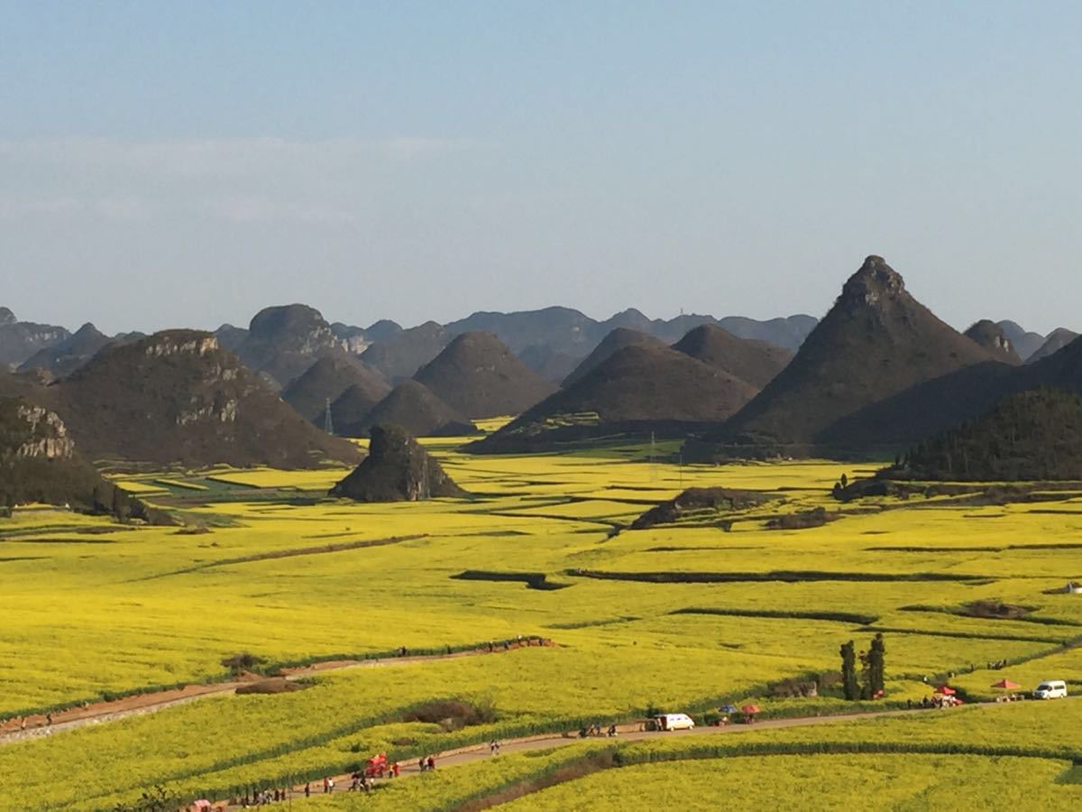 金鸡峰丛