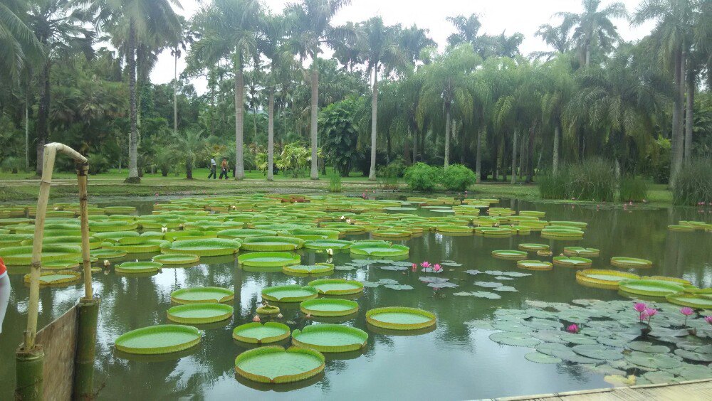 中科院西双版纳热带植物园