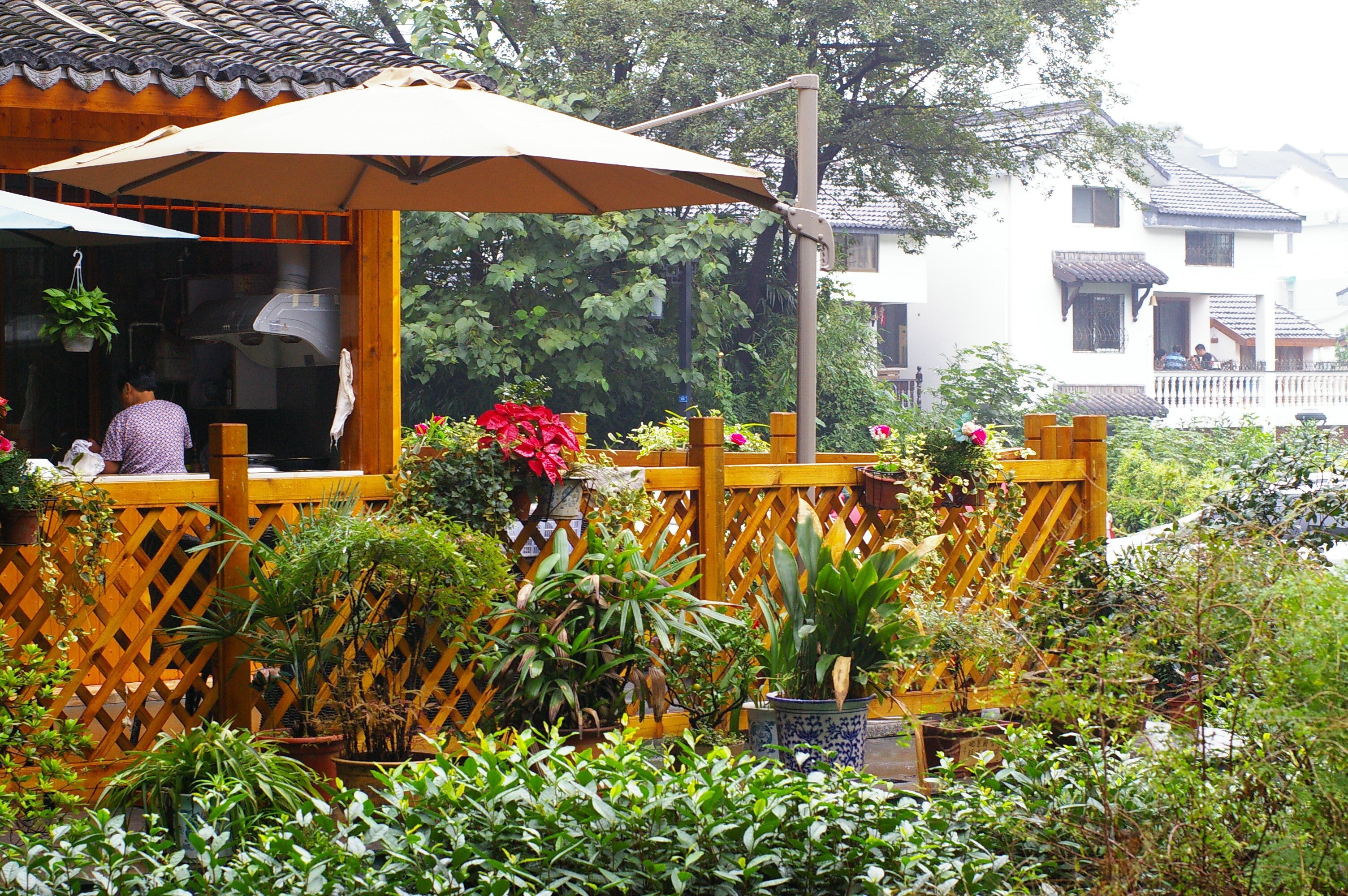 杭州青芝坞民宿,植物园山外山美食,美景可餐,恋杭州