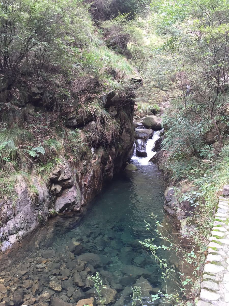 大奇山国家森林公园