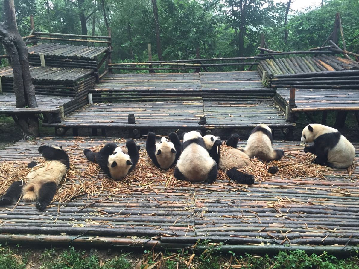 微微一笑倾城剧照,须眉杀戮班花追亡15年被抓时资产上万万