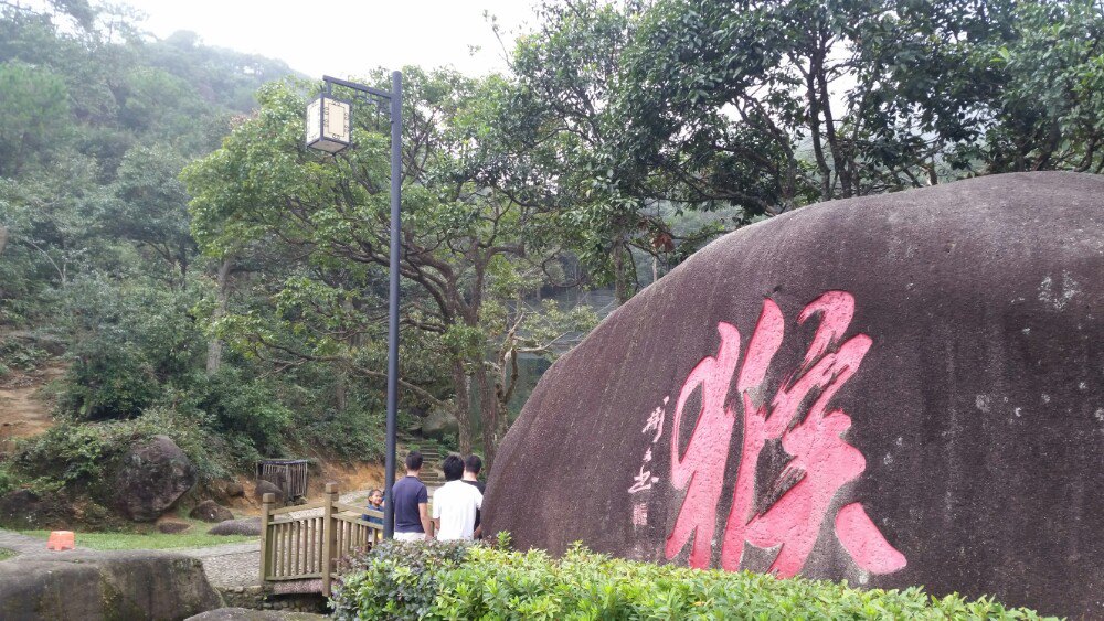 上杭梅花山(中国虎园)好玩吗,上杭梅花山(中国虎园)样