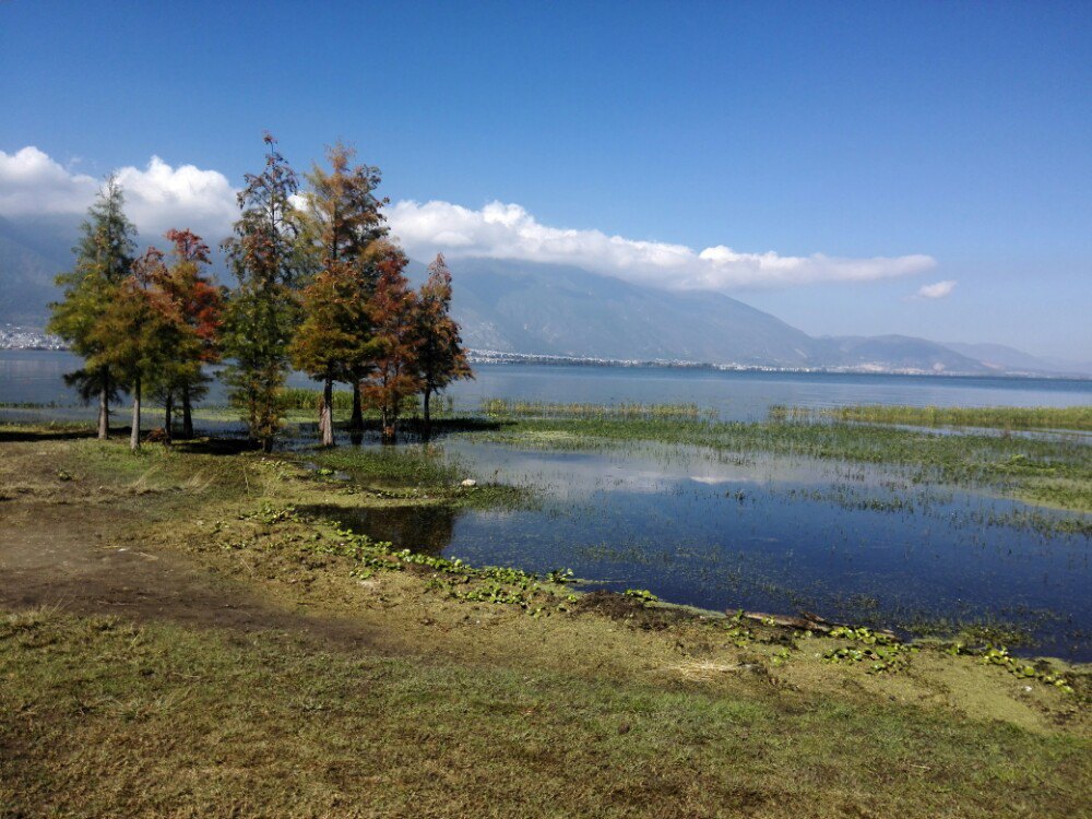 海舌生态公园