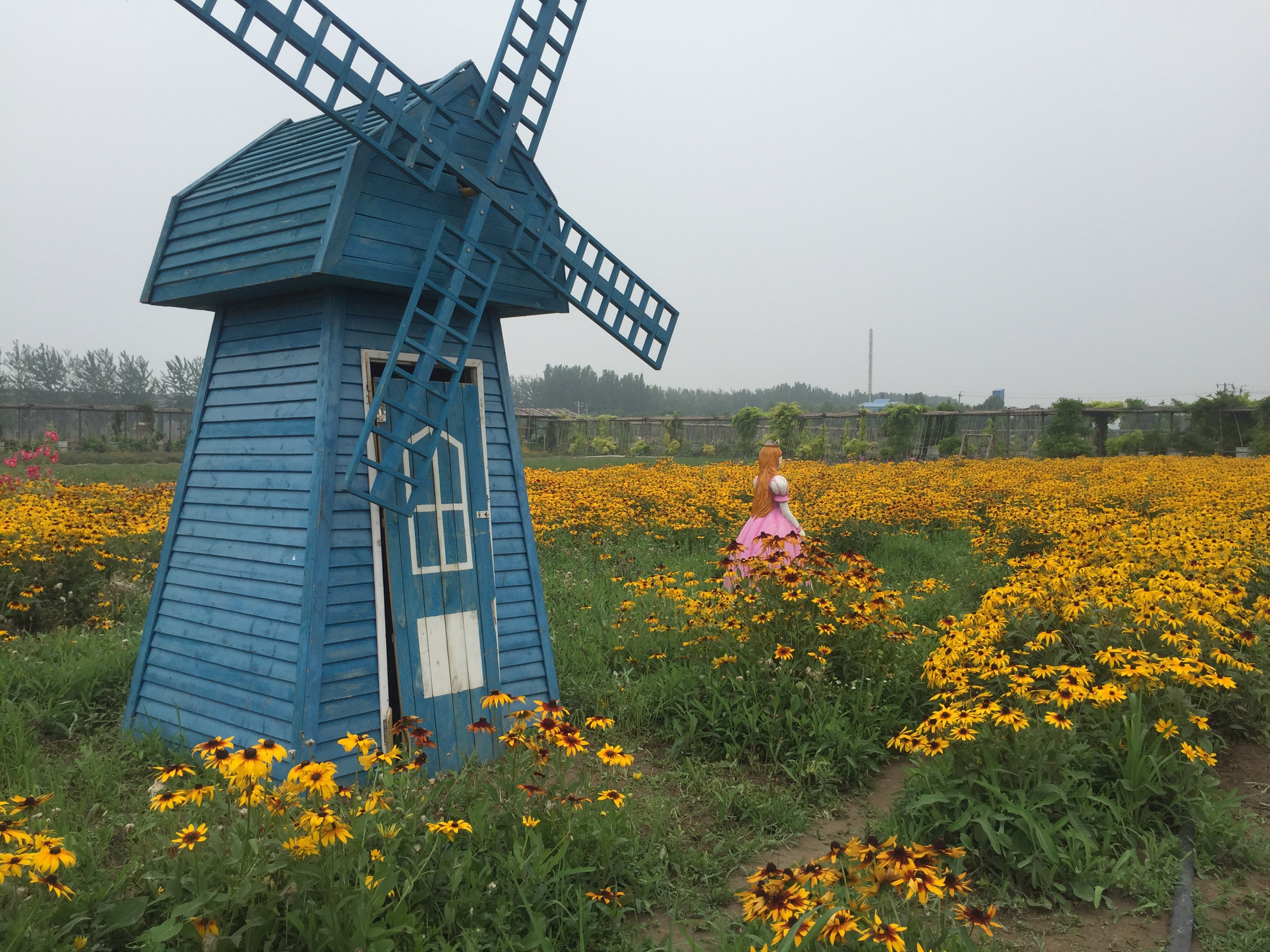 【携程攻略】通州区花仙子万花园景点,花仙子万花园包含在北京的旅游