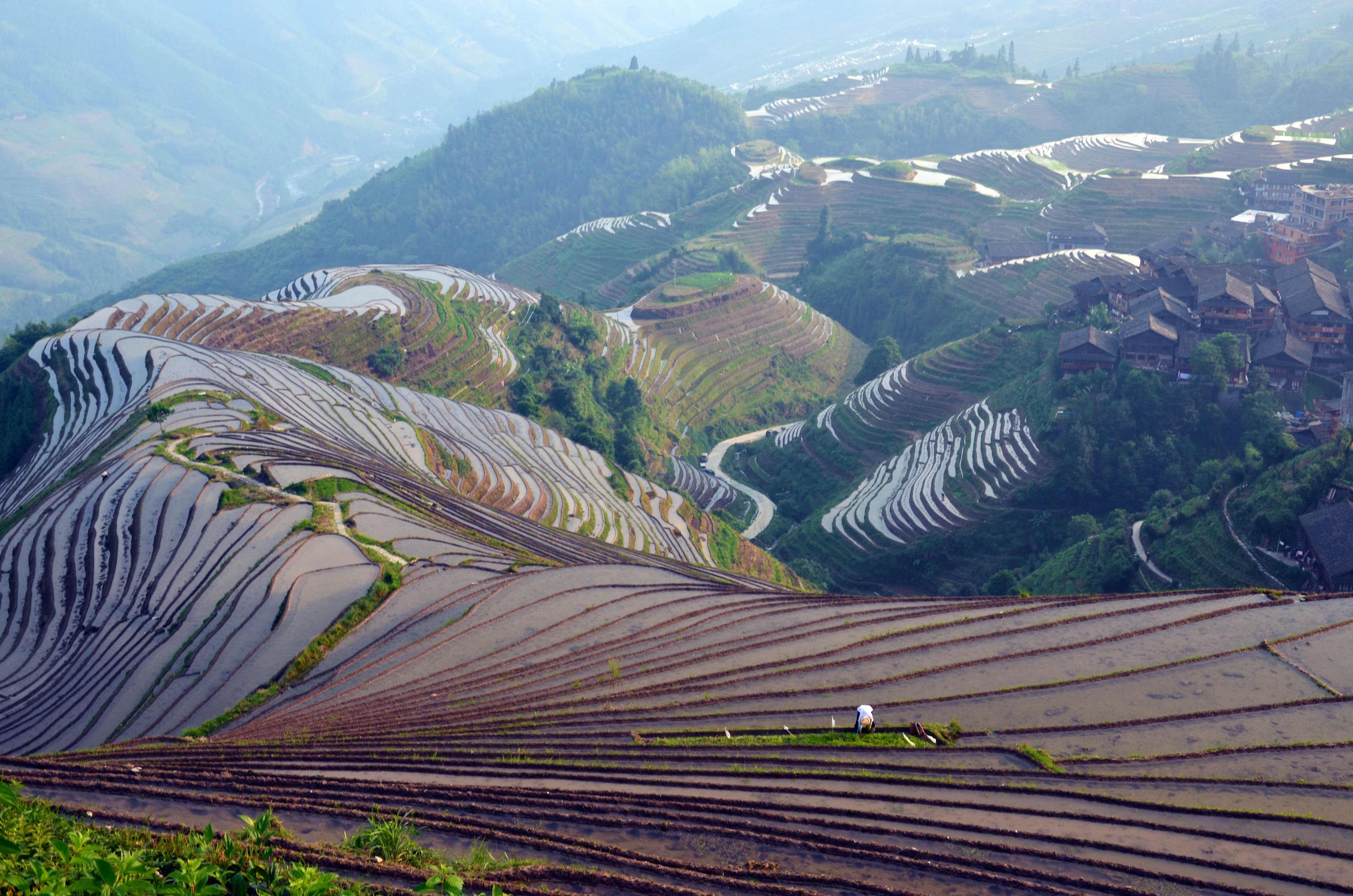 伴月专新消息评论 -微博生活网