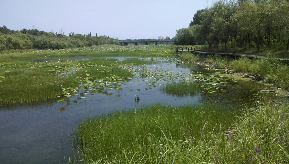 潍坊白浪绿洲湿地公园好玩吗,潍坊白浪绿洲湿地公园样