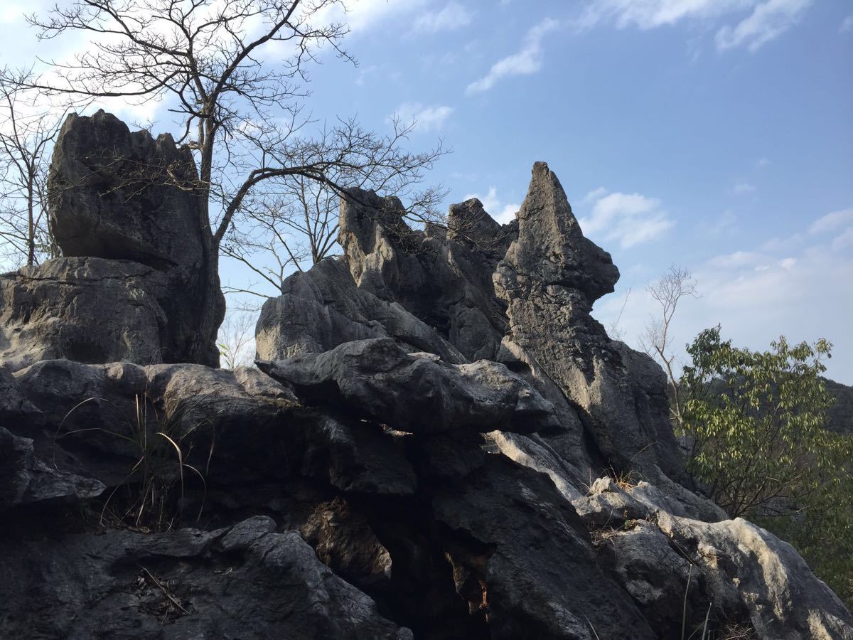 千岛湖石林景区