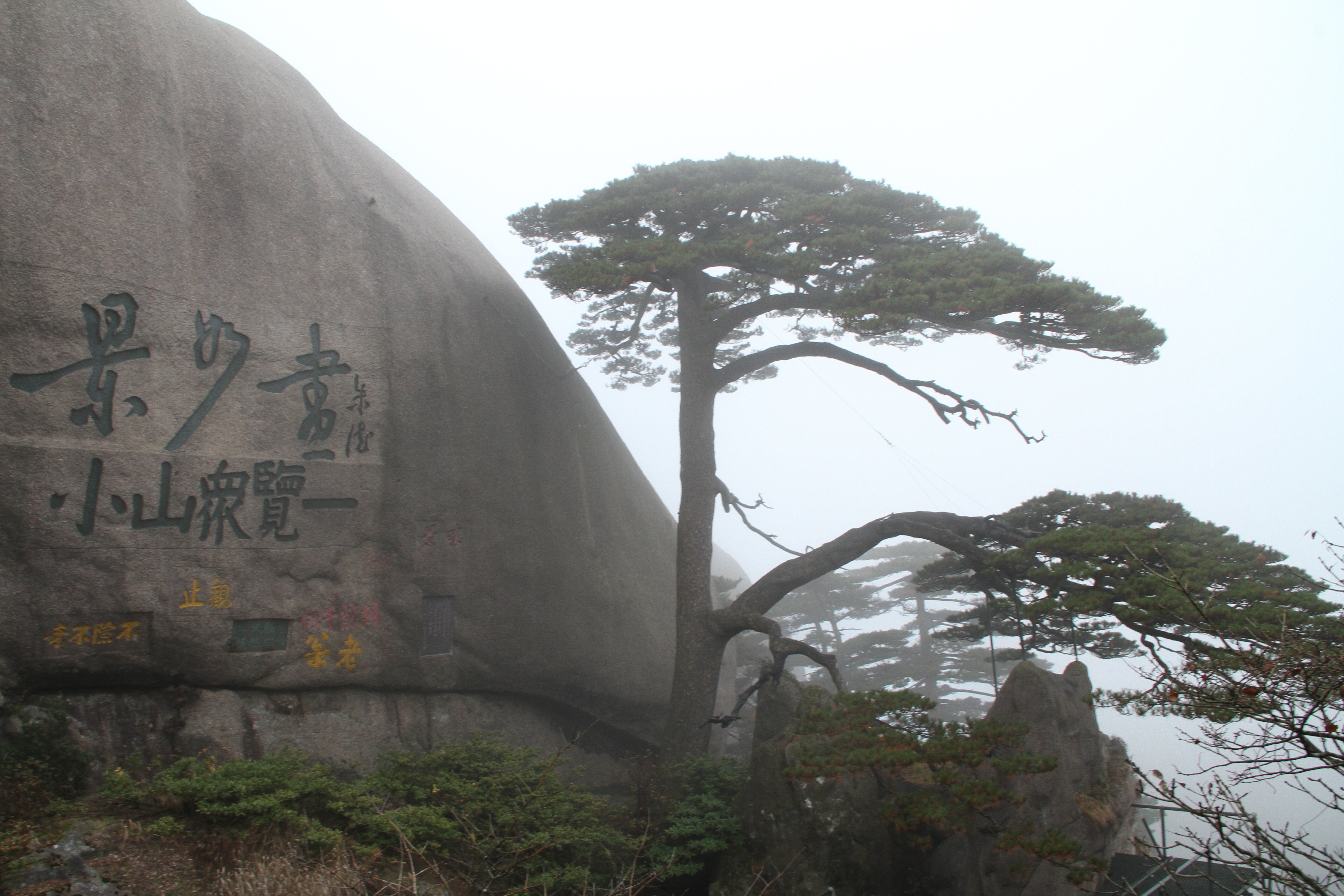 迎客松,在黄山玉屏楼左侧、文殊洞之上,倚青狮石破石而生,高10米,胸径0.64米,地径75厘米,枝下高2.5米,树龄至少已有800年,黄山四绝之一。其一侧枝桠伸出,如人伸出一只臂膀欢迎远道而来的客人,另一只手优雅地斜插在裤兜里,雍容大度,姿态优美。
迎客松是黄山的标志性景观,也是安徽省的象征之一,从人民大会堂铁画《迎客松》至车站码头,随处都会发现它的身影。