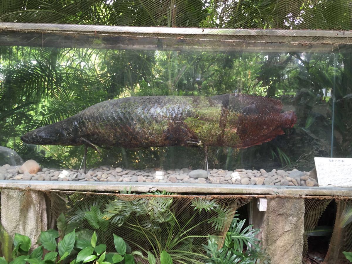 青青世界有什么好玩的