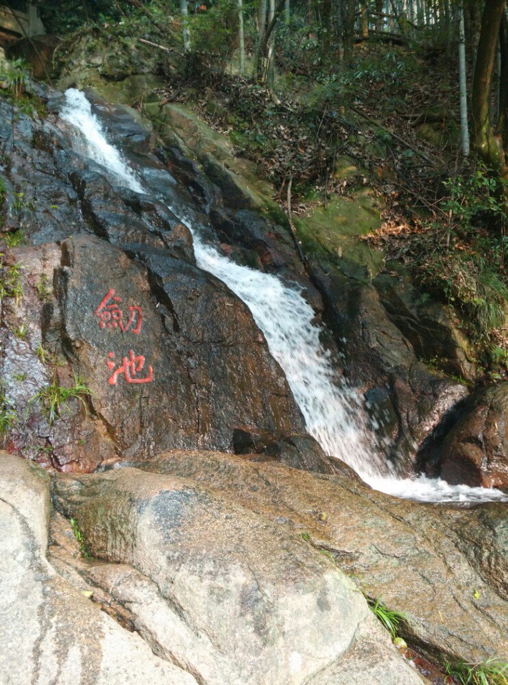 【携程攻略】浙江湖州德清莫干山莫干山景区好玩吗,样