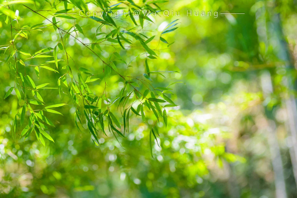 这个夏天,在湖父静静的享受慢生活.