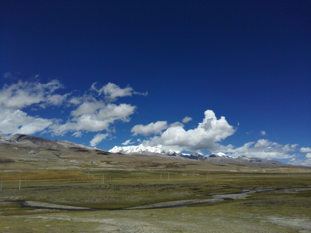 2019羌塘草原_旅游攻略_门票_地址_游记点评,那曲旅游景点推荐 去