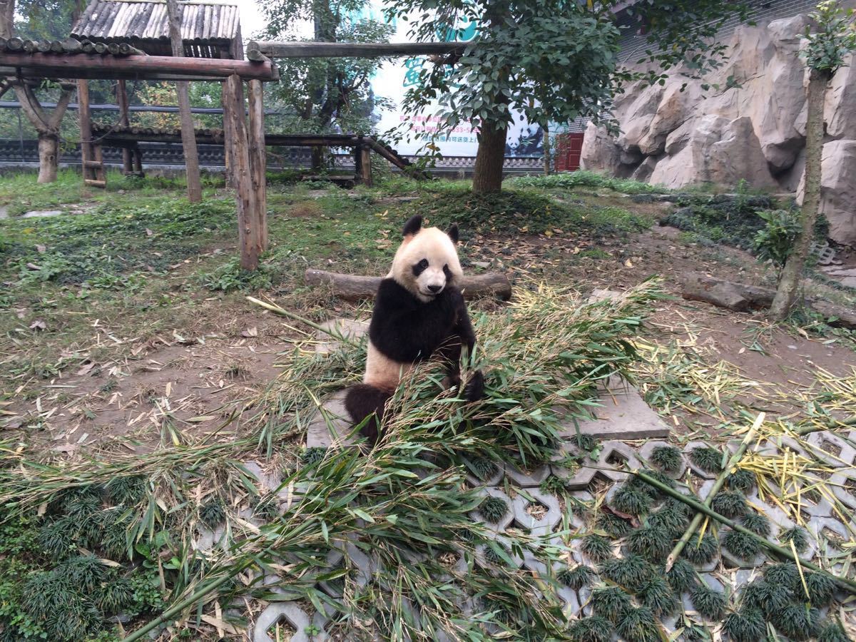 仙芝竹尖生态园旅游景区