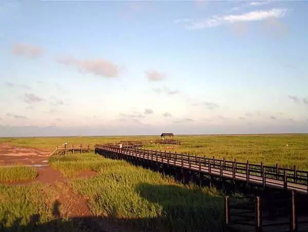 崇明区西沙湿地公园攻略,崇明区西沙湿地公园门票