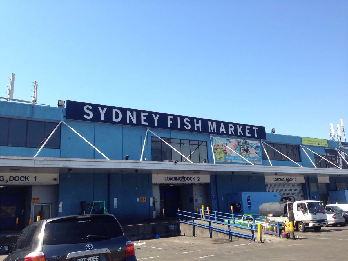 sydney fish market旅游景点攻略图