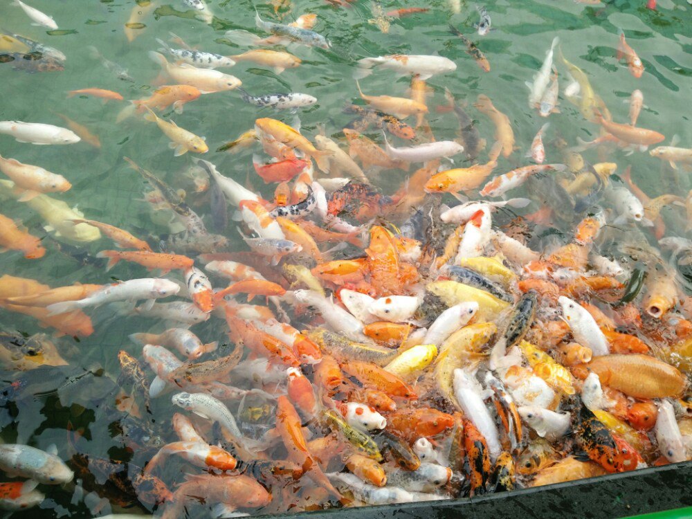 南昌动物园