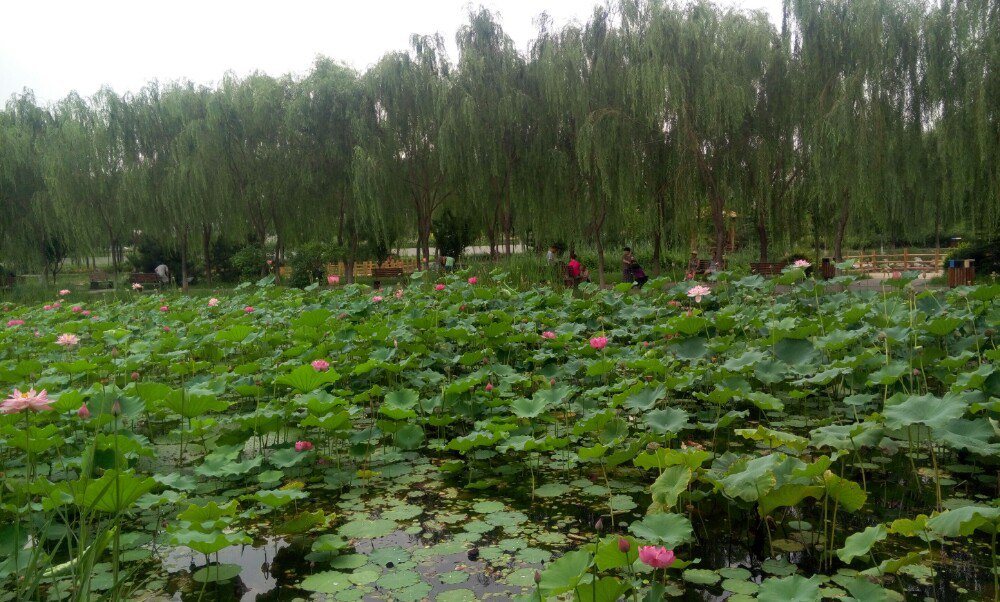 【携程攻略】北京东升八家郊野公园景点,免费.位置和.
