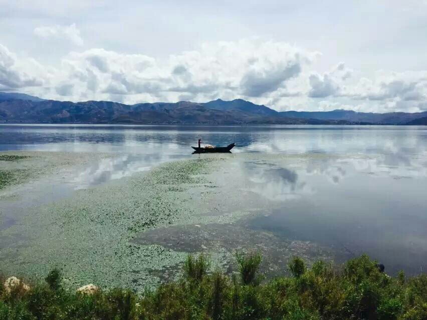 鹤庆草海