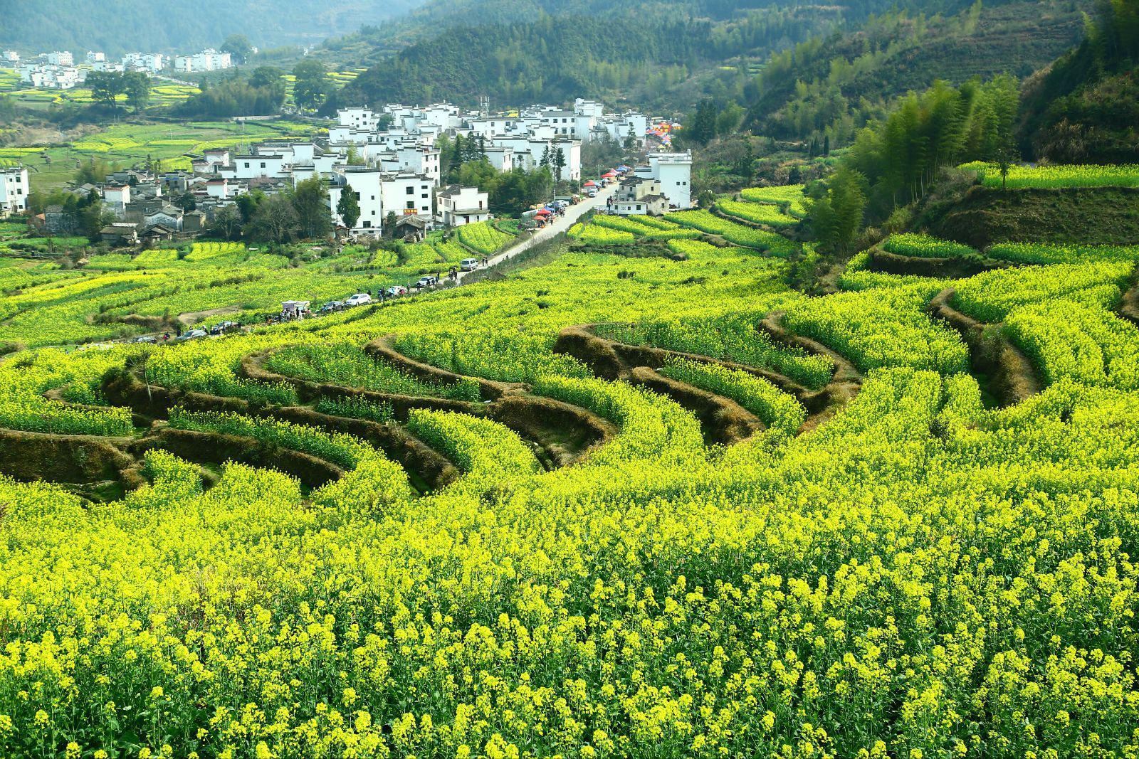 江岭景区